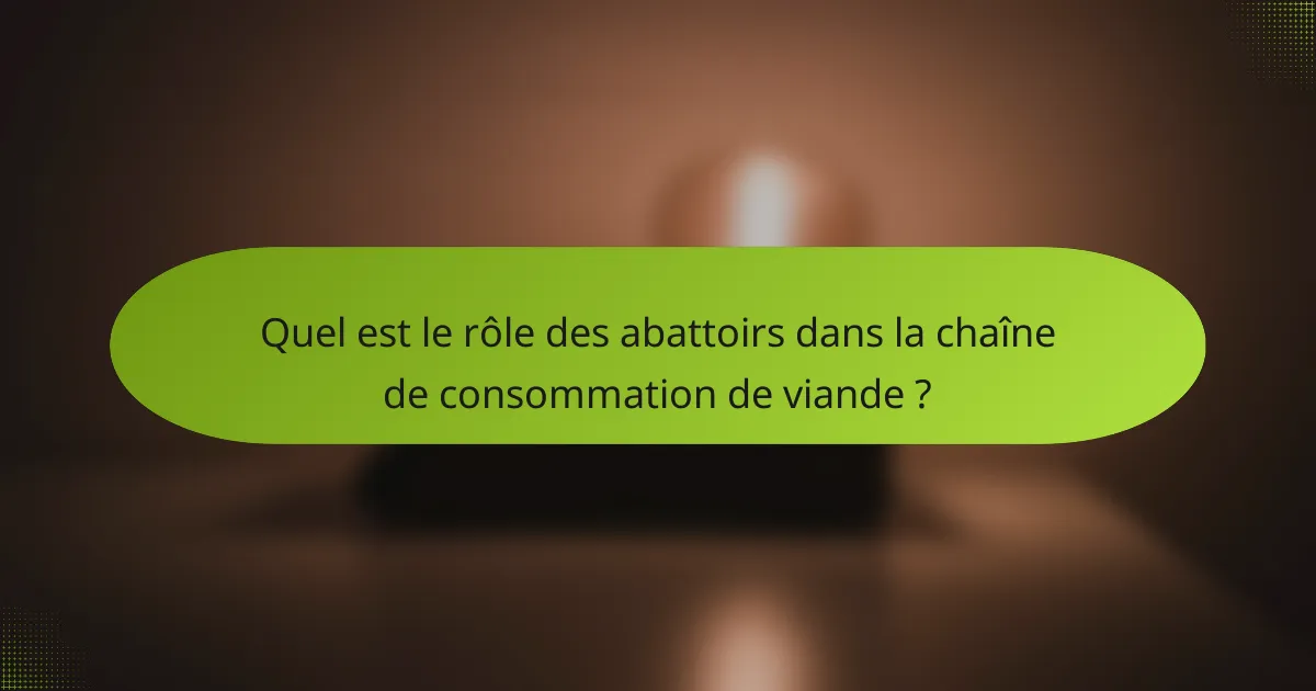 Quel est le rôle des abattoirs dans la chaîne de consommation de viande ?