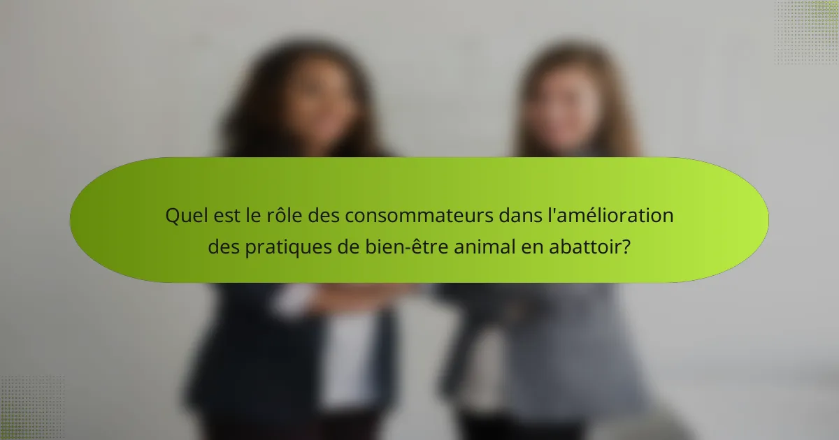 Quel est le rôle des consommateurs dans l'amélioration des pratiques de bien-être animal en abattoir?