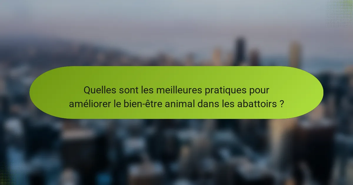 Quelles sont les meilleures pratiques pour améliorer le bien-être animal dans les abattoirs ?