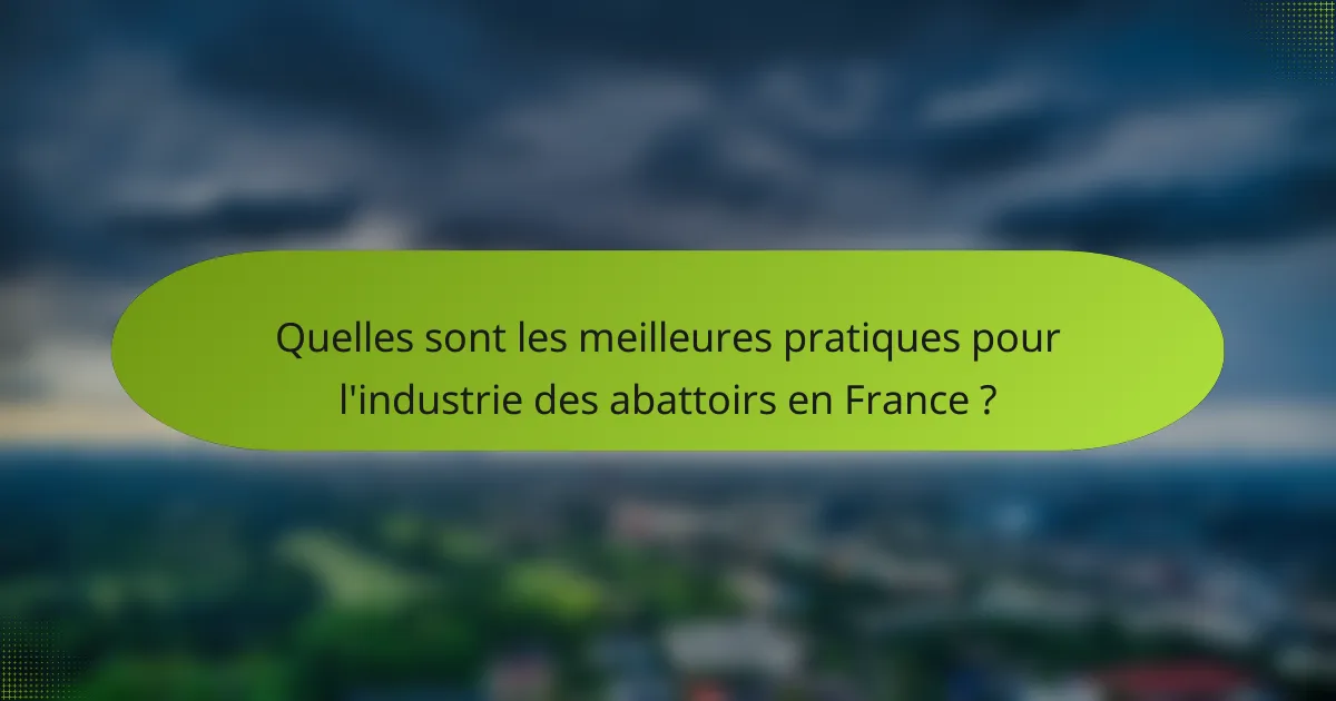 Quelles sont les meilleures pratiques pour l'industrie des abattoirs en France ?