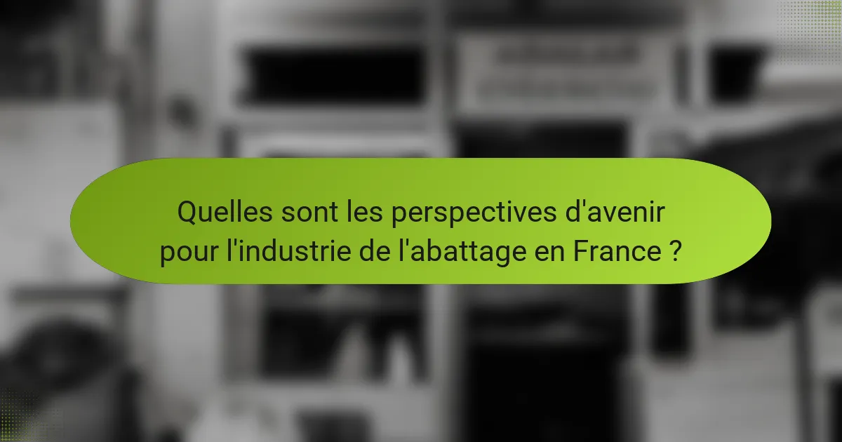 Quelles sont les perspectives d'avenir pour l'industrie de l'abattage en France ?