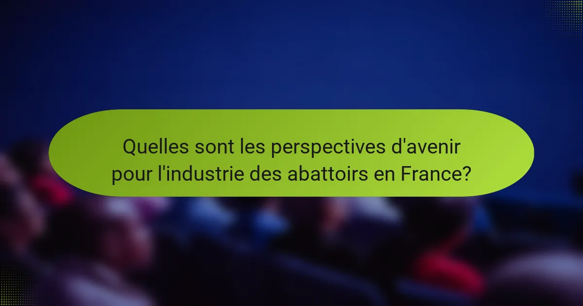 Quelles sont les perspectives d'avenir pour l'industrie des abattoirs en France?