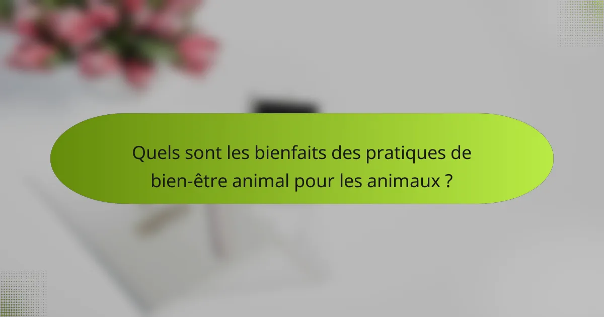 Quels sont les bienfaits des pratiques de bien-être animal pour les animaux ?