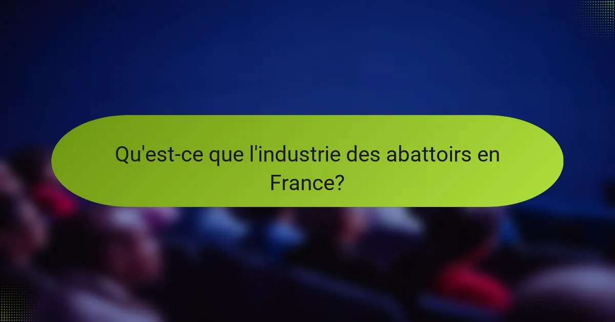 Qu'est-ce que l'industrie des abattoirs en France?