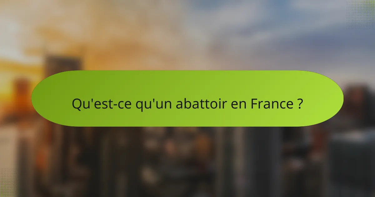 Qu'est-ce qu'un abattoir en France ?